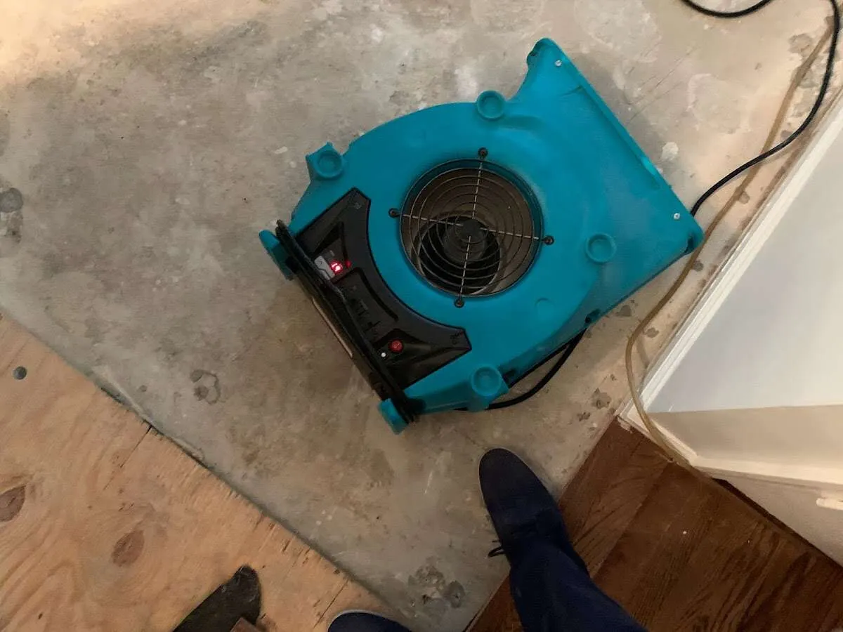 Air mover drying subfloor during Commercial Water Damage Restoration in Champlin